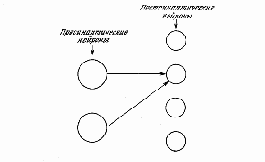 Структура